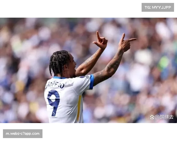 切尔西若昂·佩德罗梅开二度 导演客场关键逆转